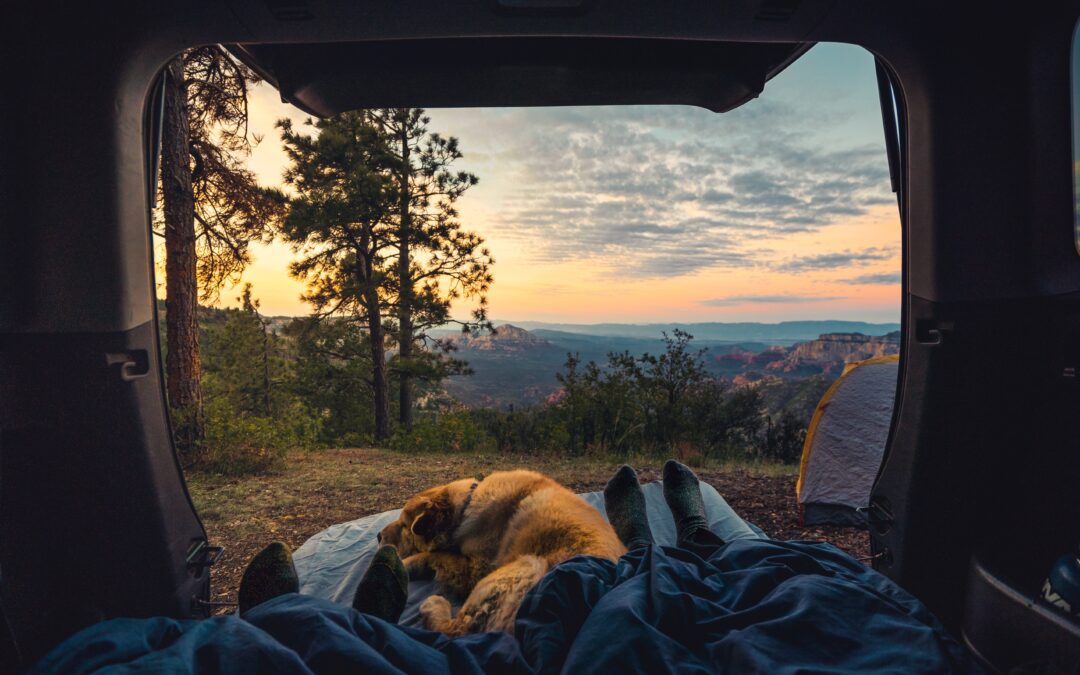 Pet Owner Advice: Camping Safety